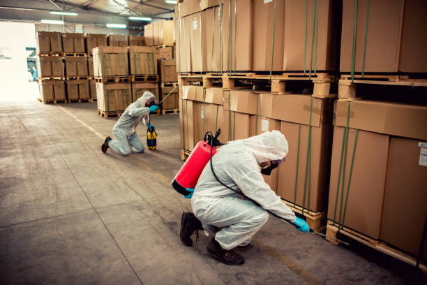 Best Pest Inspection Near Me  in Heber Springs, AR