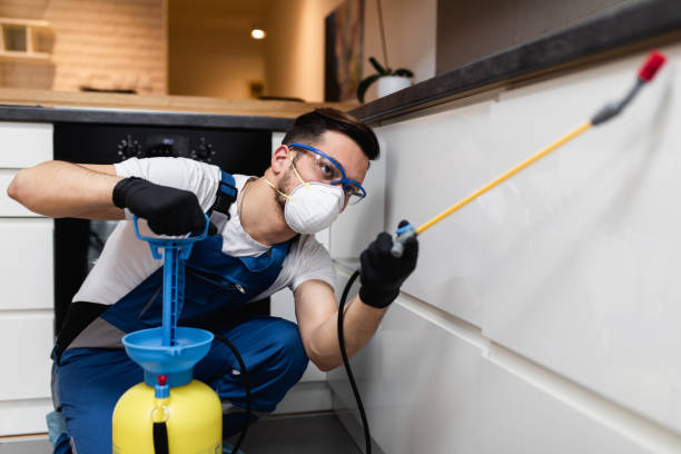 Best Pest Control Near Me  in Heber Springs, AR