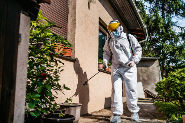 Best Spider Control Near Me  in Heber Springs, AR