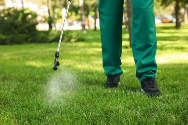Best Rat Extermination Near Me  in Heber Springs, AR