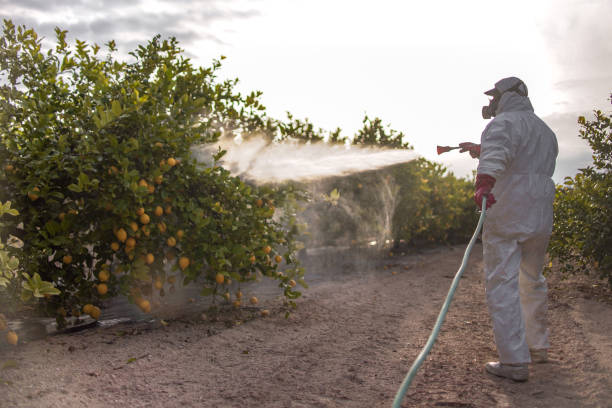 Best Commercial Pest Control Services  in Heber Springs, AR