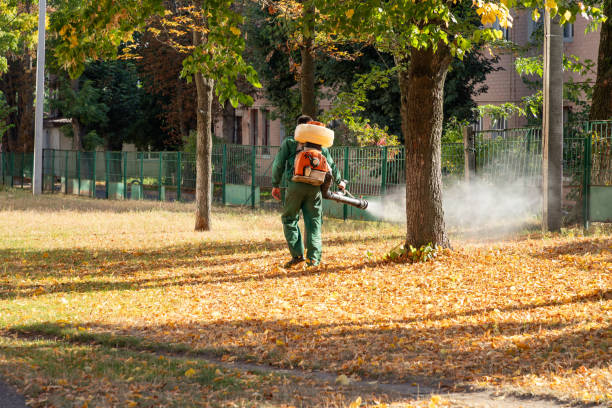 Best Cockroach Control Services  in Heber Springs, AR