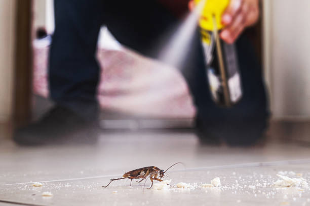 Heber Springs, AR Pest Control Company