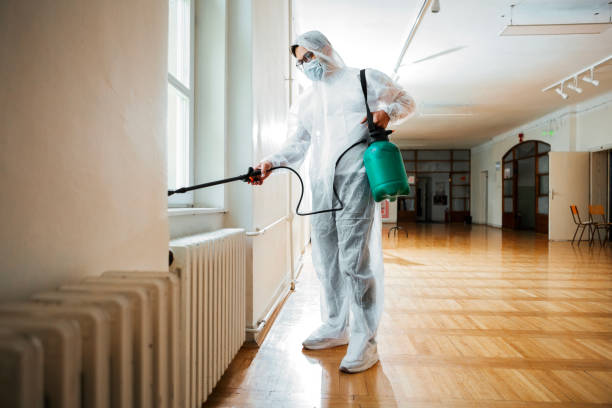 Best Best Pest Control Companies  in Heber Springs, AR