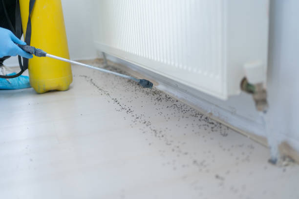 Pest Control Cost in Heber Springs, AR