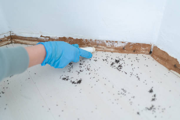Pest Prevention Services in Heber Springs, AR