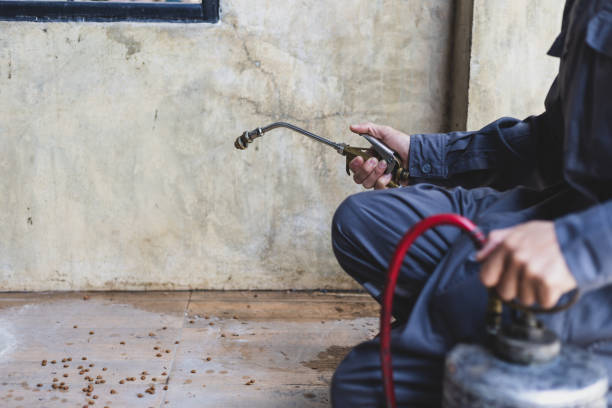 Best Affordable Pest Control Services  in Heber Springs, AR